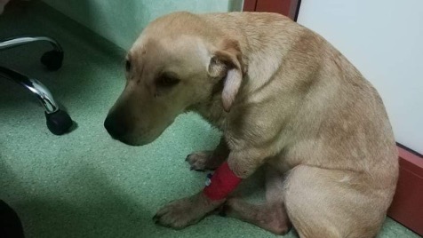 Zdjęcie aktualizacji 81 127