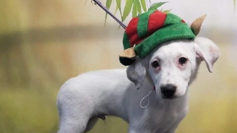 Zdjęcie aktualizacji 81 291