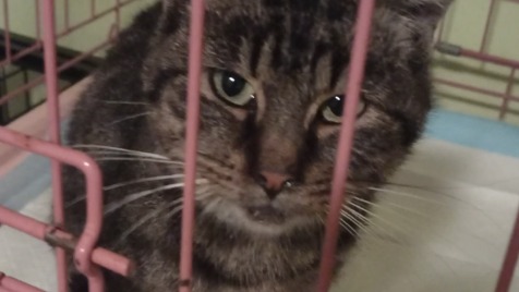 Zdjęcie aktualizacji 81 904