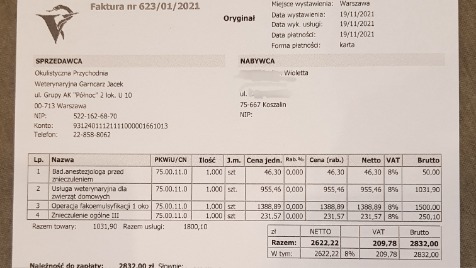 Zdjęcie aktualizacji 82 361