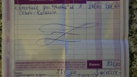 Zdjęcie aktualizacji 82 734