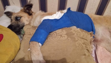 Zdjęcie aktualizacji 82 846