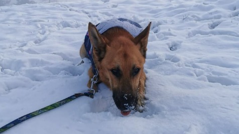 Zdjęcie aktualizacji 83 110