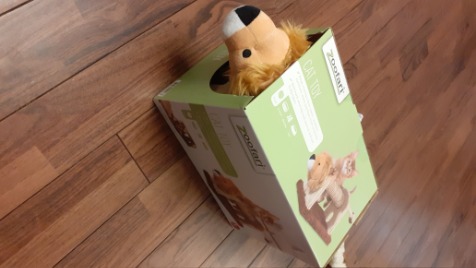 Zdjęcie aktualizacji 83 298