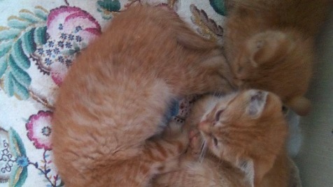 Zdjęcie aktualizacji 8 342