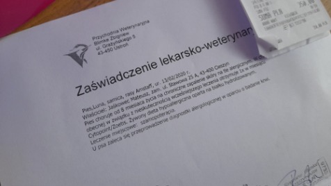 Zdjęcie aktualizacji 84 877