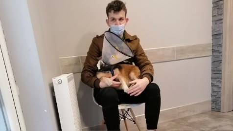 Zdjęcie aktualizacji 85 322