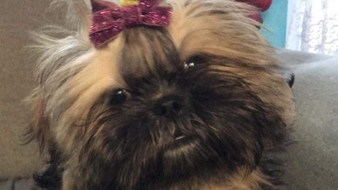 Zdjęcie aktualizacji 85 496