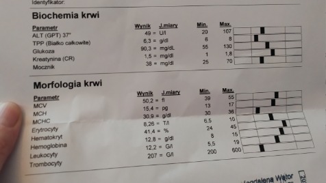 Zdjęcie aktualizacji 86 676