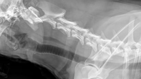 Zdjęcie aktualizacji 86 796