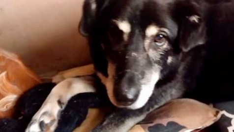 Zdjęcie aktualizacji 86 835