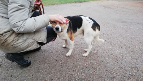 Zdjęcie aktualizacji 87 151