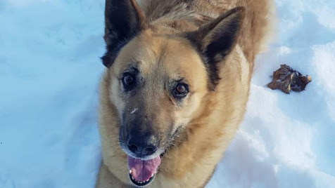 Zdjęcie aktualizacji 87 153