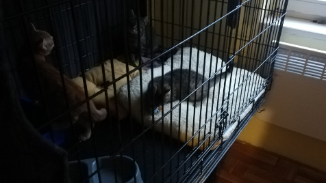 Zdjęcie aktualizacji 87 161