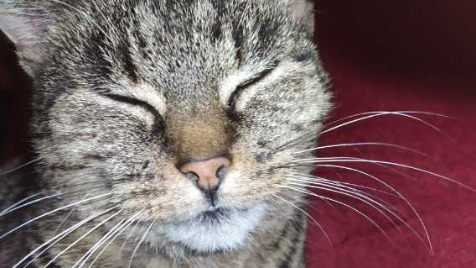 Zdjęcie aktualizacji 87 580