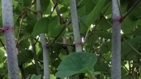 Zdjęcie aktualizacji 87 747