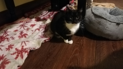 Zdjęcie aktualizacji 87 922