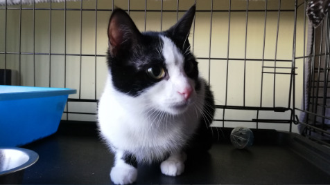 Zdjęcie aktualizacji 88 112