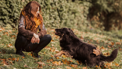 Zdjęcie aktualizacji 88 180