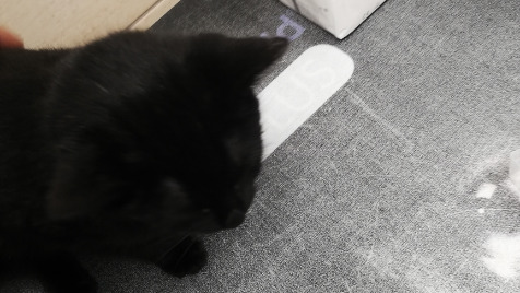 Zdjęcie aktualizacji 88 184