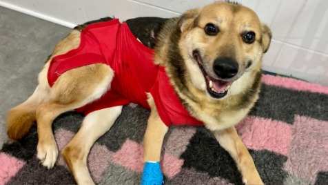 Zdjęcie aktualizacji 88 490