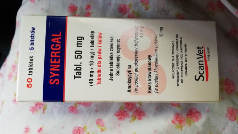 Zdjęcie aktualizacji 88 963