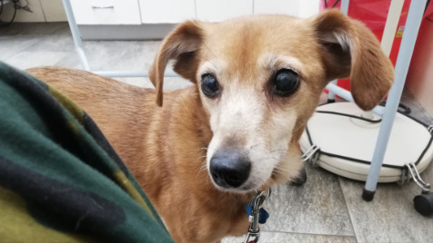 Zdjęcie aktualizacji 89 536