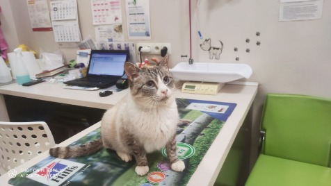 Zdjęcie aktualizacji 89 807