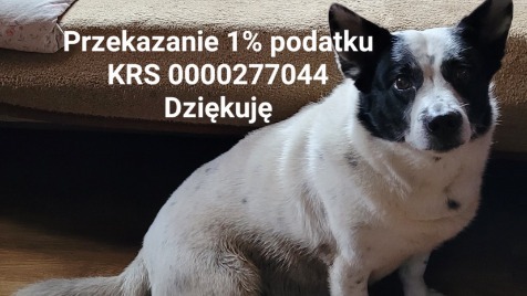 Zdjęcie aktualizacji 89 838