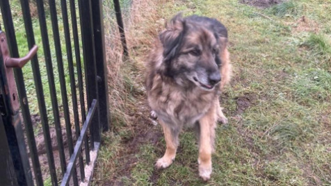 Zdjęcie aktualizacji 90 865