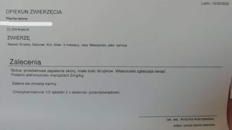 Zdjęcie aktualizacji 91 854