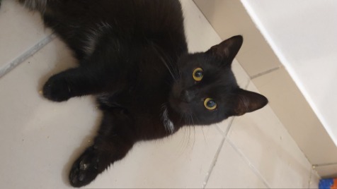 Zdjęcie aktualizacji 92 056