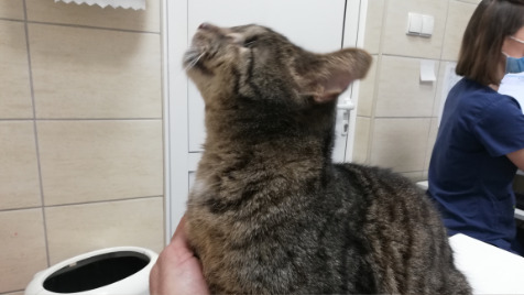 Zdjęcie aktualizacji 92 212