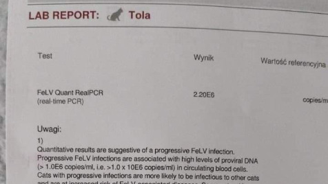 Zdjęcie aktualizacji 92 239