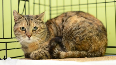 Zdjęcie aktualizacji 93 316