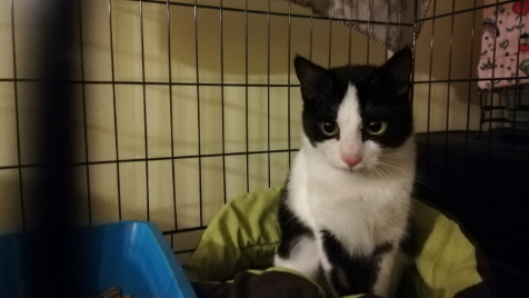 Zdjęcie aktualizacji 93 435