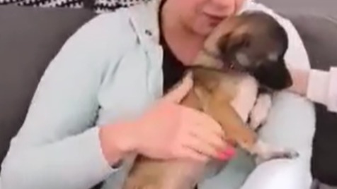 Zdjęcie aktualizacji 93 903