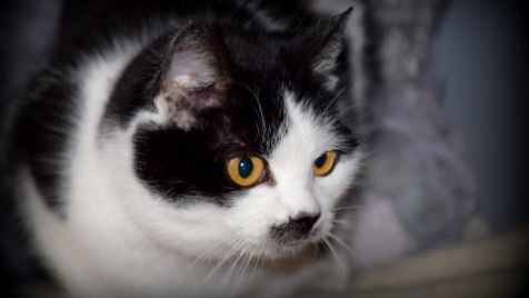 Zdjęcie aktualizacji 9 422