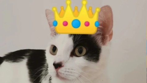 Zdjęcie aktualizacji 95 202