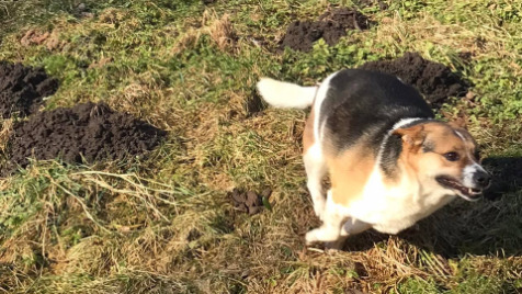 Zdjęcie aktualizacji 96 005