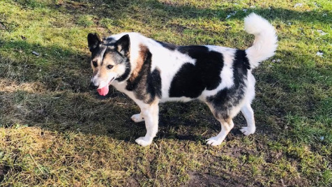 Zdjęcie aktualizacji 96 320