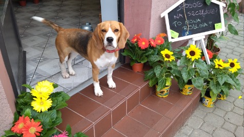 Zdjęcie aktualizacji 97 888