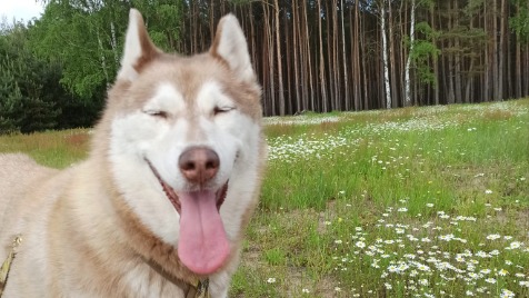 Zdjęcie aktualizacji 97 927