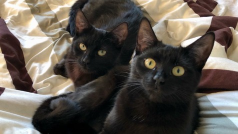 Zdjęcie aktualizacji 99 133