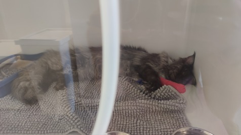 Zdjęcie aktualizacji 99 181