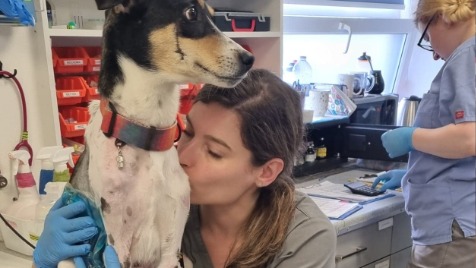 Zdjęcie aktualizacji 99 374