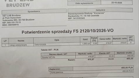 Zdjęcie aktualizacji 203 125