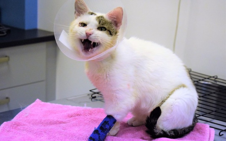 Zbiórka Żuberek wygrał, ale walczy dalej - zdjęcie główne