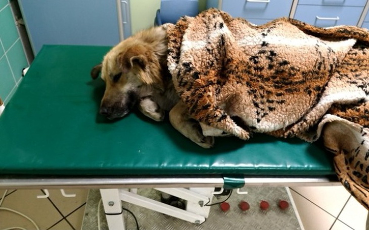 Zbiórka Na pomoc w walce o życie - zdjęcie główne