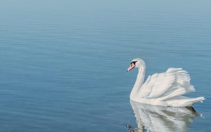 Zbiórka Grzybica układu pokarmowego - zdjęcie główne